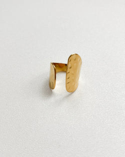 ANILLO RELIEVE PLANO