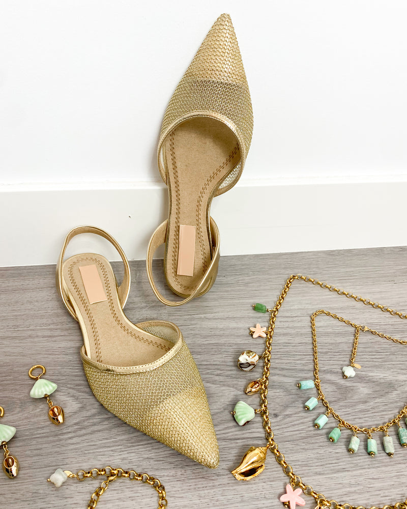 Zapato punta Gold