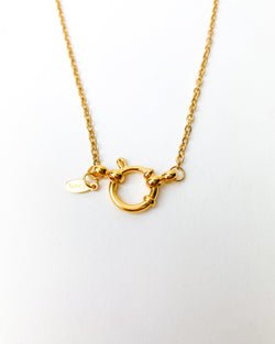 COLLAR BASIC CHARM
