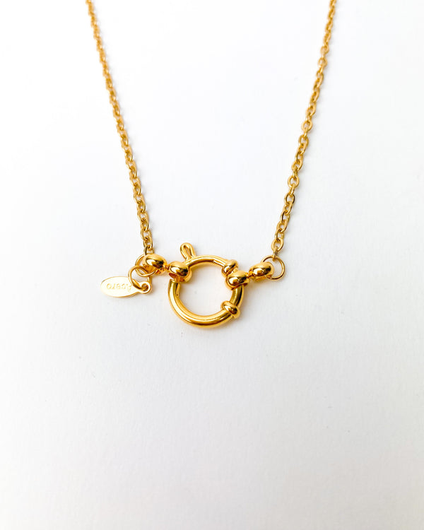 COLLAR BASIC CHARM